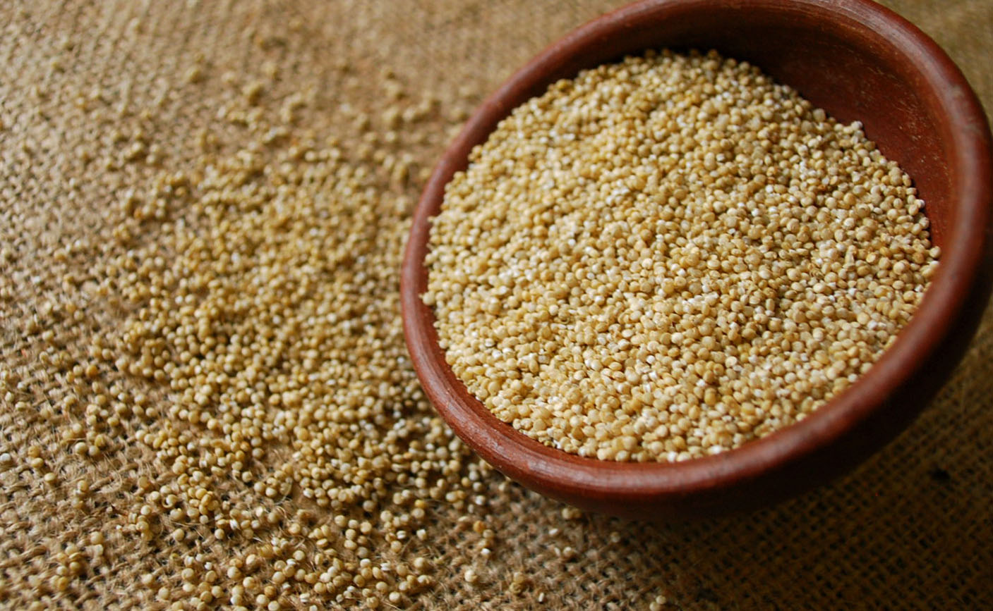 quinoa1