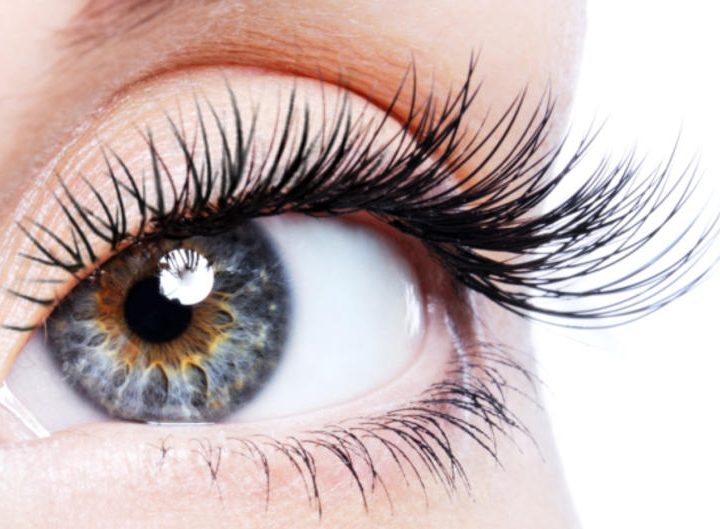 Lash Lift & Botox trepavica